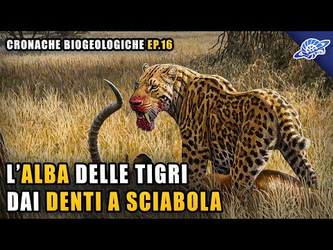 L&rsquo;Alba delle Tigri dai Denti a Sciabola | Pliocene (Neogene) | Cronache Biogeologiche Ep. 16