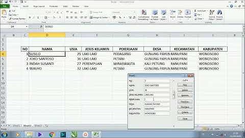 CARA MUDAH DAN CEPAT Input Data di Excel Menggunakan Form