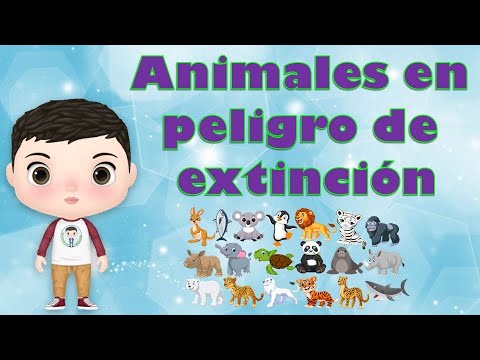 animales en peligro de extincion para niños de preescolar - video educativo  - thptnganamst.edu.vn