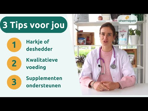 Video: Wat zegt de huid van mijn kat en haar over haar gezondheid?