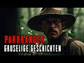 3 Erschreckende wahre Geschichten über Parkranger. Gruselige Geschichten