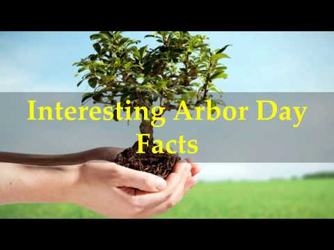 Video: Arbor Day Done Right: Sequoian Ja Redwoodin Kansallispuistot