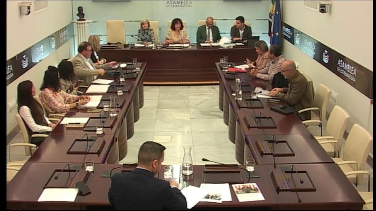 2026_05_20 Comisión de Desregulación, Servicios Sociales y Familia