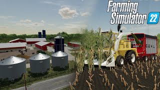 GRAYSTONE FARM CORN SILAGE!!! | Graystone Farm | Farming Simulator 22