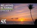 Calming Sounds of Big Island&#39;s Sunsets - Crashing Waves &amp; Tropical Birds - Nature soundscape #1