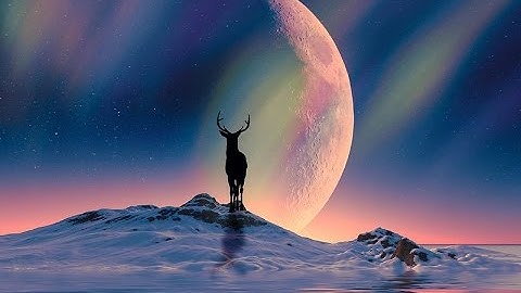 الآية 156 من سورة الانعام بصوت الشيخ محمد صديق المنشاوي