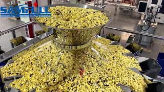 Samfull gusset bag vffs form fill seal packing machine for snacks food