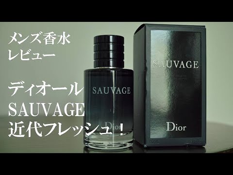 香水レビュー 2 クリスチャン ディオール ソバージュ Edt Christian Dior Sauvage Youtube