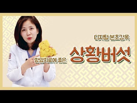 한의사 김소형이 알려주는 상황버섯 효능!
