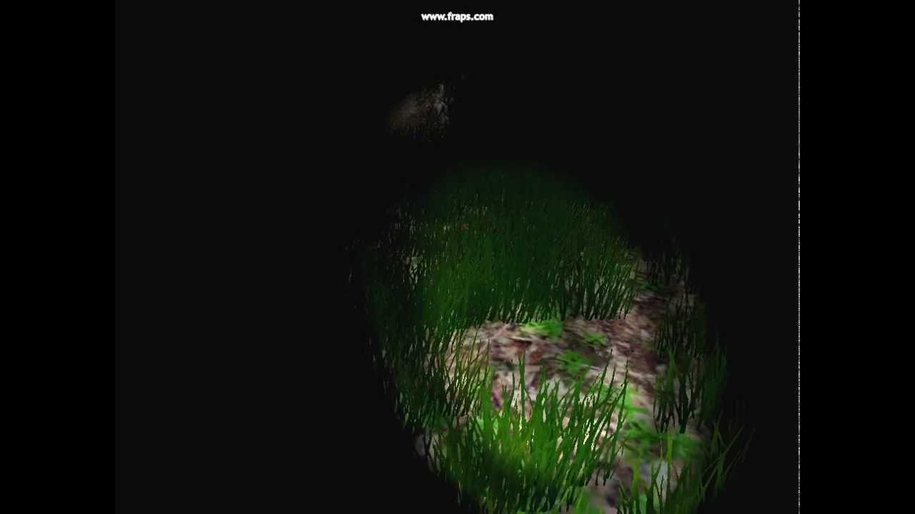Slender "Glitch"
