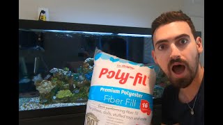 WHEN and HOW to clean your AQUARIUM/FISH TANK Filter