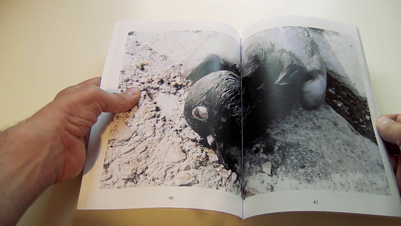 Vaia Pilafa - PUPA (sp004)