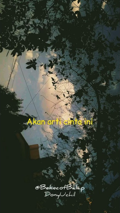 Walau kau tak pernah mengerti #story wa