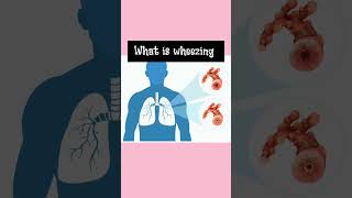 What is wheezing| Wheezing | #shorts What is wheezing| Wheezing | #shorts