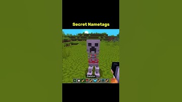 Minecraft Secret Nametags #minecraft #memes #gaming #shorts #fyp #brainrot