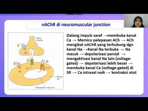 RESETOR KANAL ION SEBAGAI TARGET AKSI OBAT