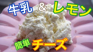 チーズ 簡単レシピ 牛乳とレモンで作るカッテージチーズ Youtube