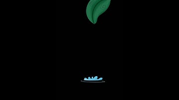 Water Drop Animation – Hand-Drawn in Procreate