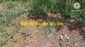 Đất Vườn view suối Châu Đức BRVT. 3558m² 480 thổ cư, mặt tiền nhựa 81m. 4,6 tỷ. lhe 0934.095.204