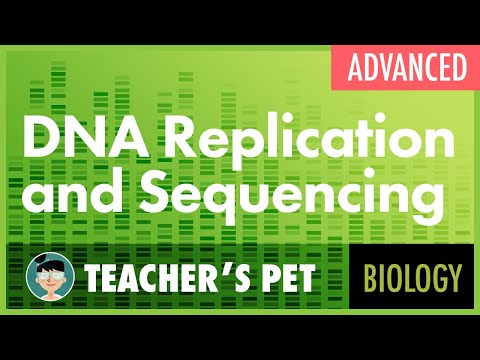 Video: ADN-ul poate fi secvențial pe măsură ce este replicat?