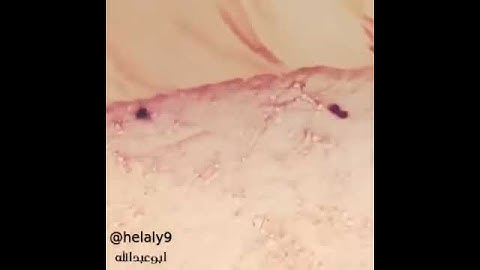 حافظوا على الأذكار جزاكم الله خيرا