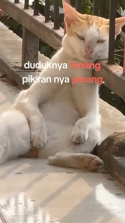 story wa sad 30 detik duduk nya tenang pikiran nya perang #shortvideo #storysad #storywa #foryou