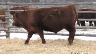 Lot 122