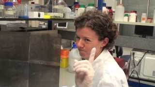Video thumbnail of ""Students vs. Post Docs" - the Rayne Institute Christmas Movie 2013"