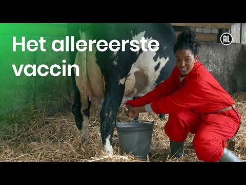 Video: Inentingsreaksies: Hoe Om 'n Anafilaktiese Reaksie Te Hanteer As Gevolg Van 'n Entstof