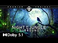5.1 Night Jungle Sounds Dolby Pro Logic II, SDDS Surround audio demo