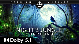 Surround-EX Audio Demo: Night Jungle Sounds 4K