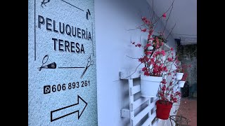 PELUQUERÍA TERESA