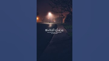 ﴿وَاجْعَلْنِي مِنْ وَرَثَةِ جَنَّةِ النَّعِيمِ﴾#ياسر_الدوسري #قرآن #تلاوة #تلاوة_خاشعة #quran#خشوع