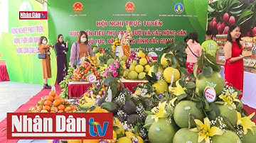 Tin kinh tế sáng ngày 12-11-2021: Xúc tiến tiêu thụ cam, bưởi và các nông sản chủ lực, đặc trưng