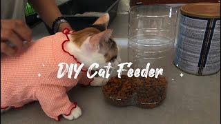 DUG30023 My Green Initiative (DIY Cat Feeder)