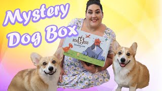 Box Dog Mystery Dog Box Unboxing | October 2020