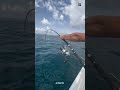 Insane Tuna Fishing Hack Fishermen Catch Hundreds With One Rod Insane Tuna Fishing Hack Fishermen Catch Hundreds With One Rod