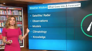 What Goes Into a Weather Forecast