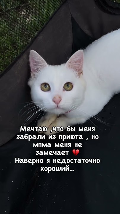 Доставка в другие города 🙏🏻 Г.Саранск, информация в шапке профиля - YouTube