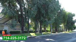 Commercial Tree Trimming