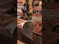 CAT 365 Loading truck #heavymachinery #excavator #shorts #fyp #youtubeshorts