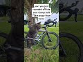 Worse Than A Flat Tire рџ Ј Cycling Cyclist Bike Bikelife Velo Roadbike Bikemaintenance Worse Than A Flat Tire рџ Ј Cycling Cyclist Bike Bikelife Velo Roadbike Bikemaintenance