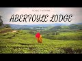My Aberfoyle Lodge Experience ( Honde Valley , Zimbabwe )