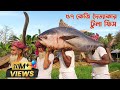 123 Pounds Giant Tuna Fish Cutting & Cooking - Sea Fish Curry Recipe Of Grandpa For Special people