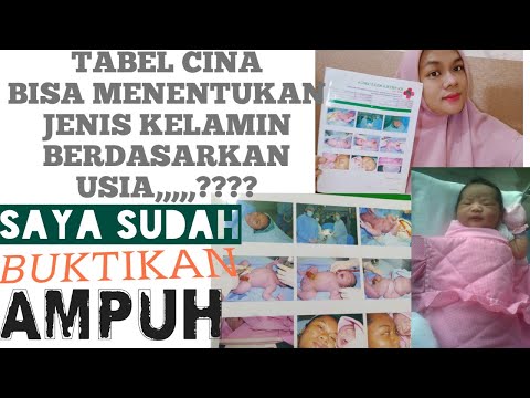 Video: Cara Menentukan Tahun Menurut Kronologi Cina