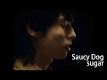 【中日歌詞】Saucy Dog - 「 sugar 」《純粹中翻》
