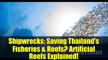 Shipwrecks: Saving Thailand