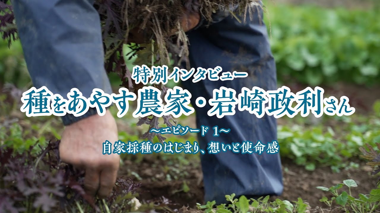 岩崎さんちの種子採り家庭菜園/岩崎 政利 種をあやす 在来種野菜