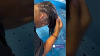 Справились, получается?😄 #груминг #животные #viral