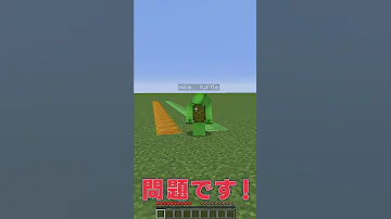足が速いのはどっち 